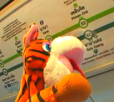 tiger