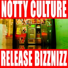 release-bizznizz-cover